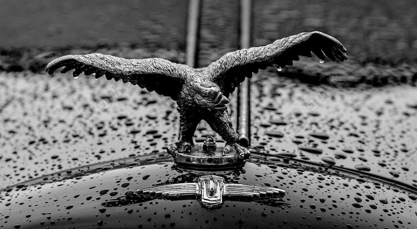 摄影复古黑白飞鹰汽车徽章背景图片