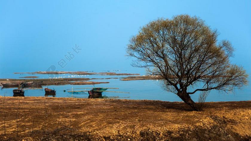 自然风景原生态湿地背景图片