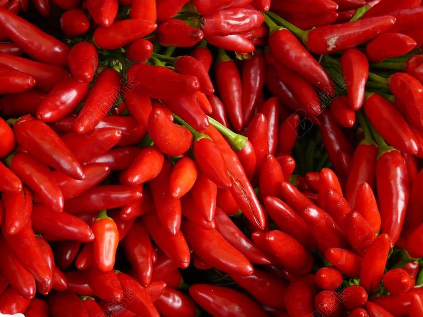 辣椒 尖锐 红色 吃 荚 豆荚