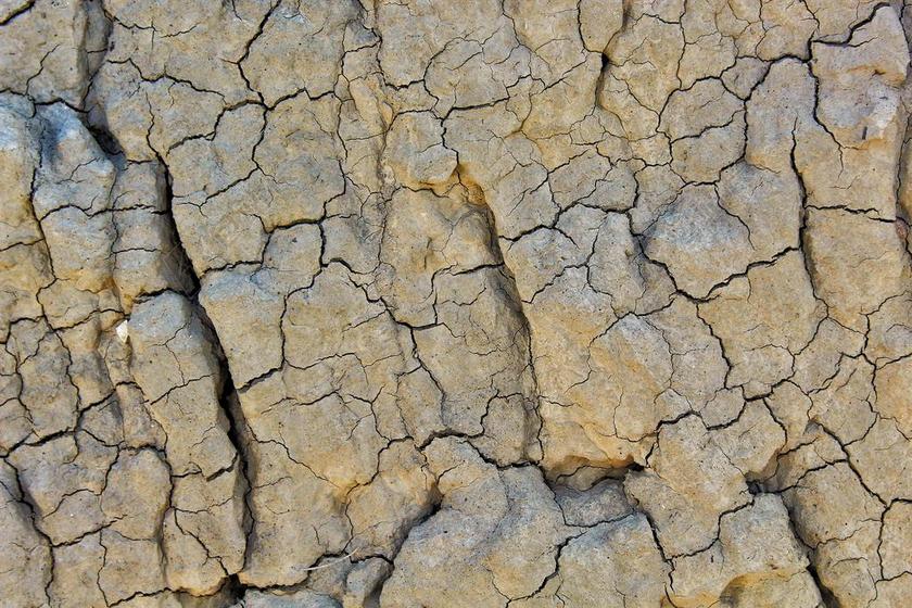 岩 SASSI 性质 石头 质地 墙 颜色 石 化石 卵石