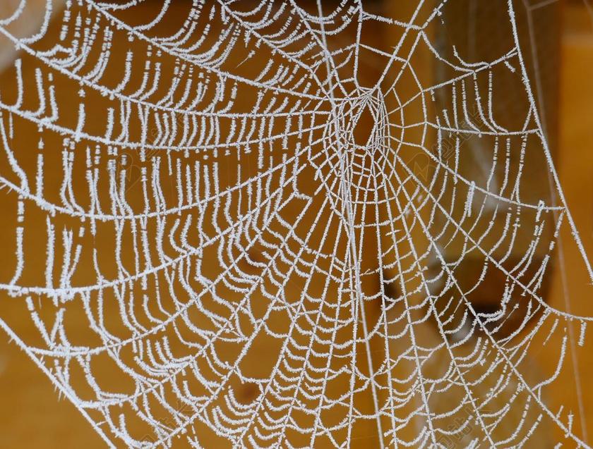 广告简约蜘蛛网背景图片