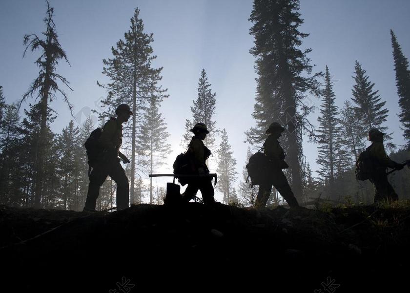 森林 树 消防队员 侧影 剪影 服务 烟 破坏 工人