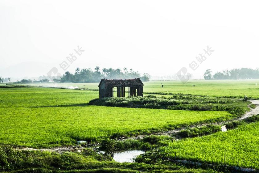 农村公路 房子 水稻 河