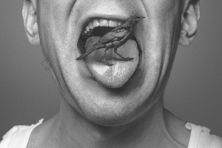 男子 奇怪 男 搞笑 脸 人 成人 疯狂 奇数 肖像 看