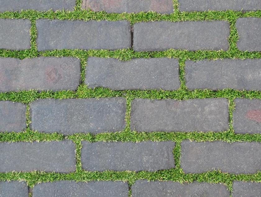 路面 植物 砖 自然 草 绿色 石 地面 环境 生活