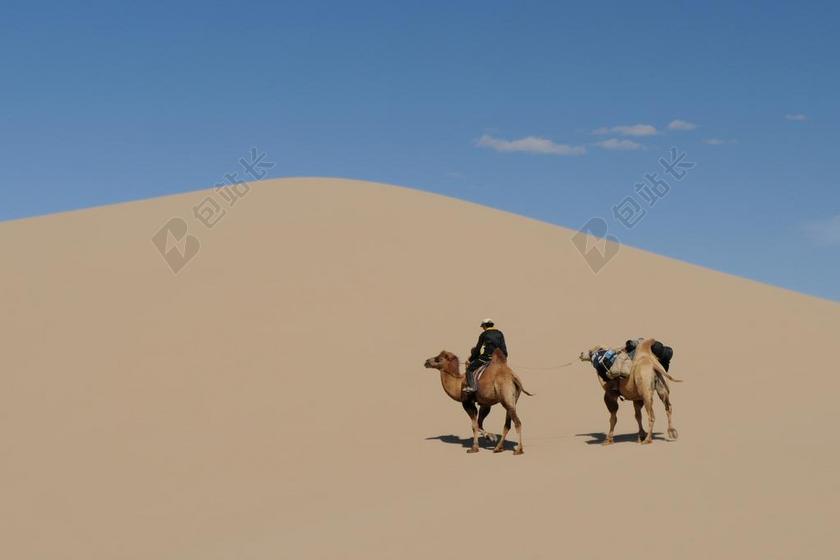 蒙古 沙漠 戈壁 沙丘 骆驼 沙漠景观