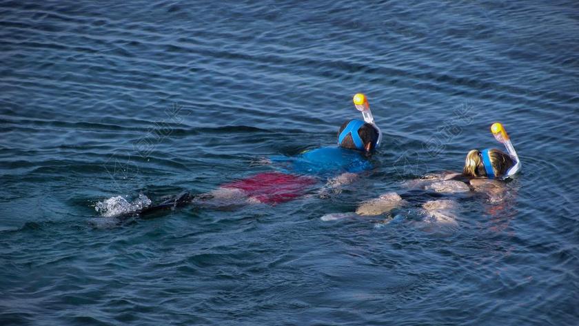 浮潜 海 面具 运动 跳水 娱乐 休闲 活动