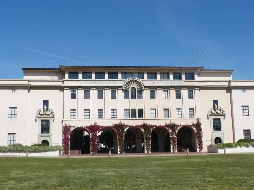 建筑白色的气派大楼背景图片