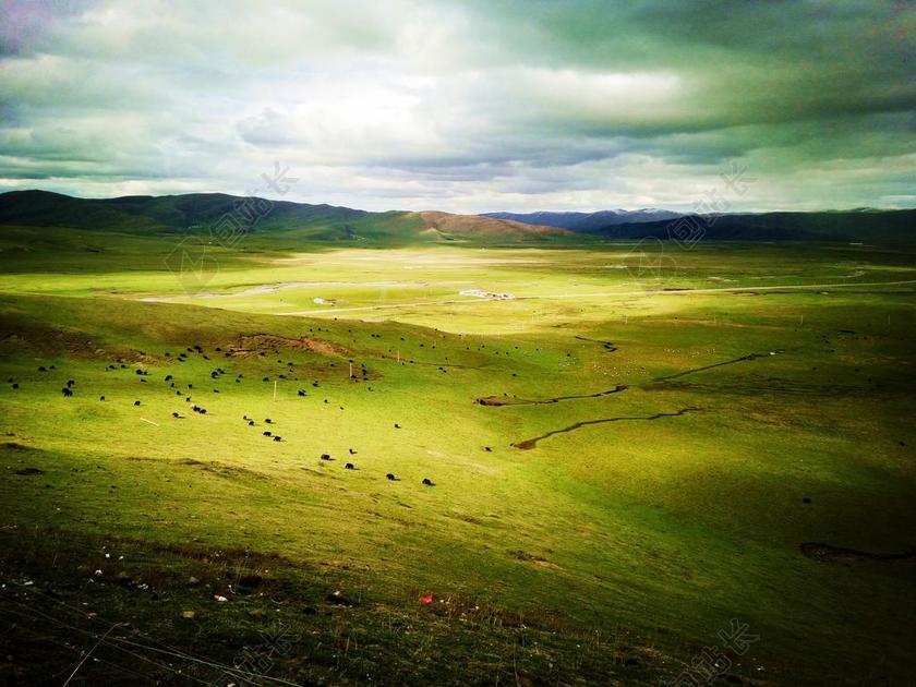 旅游清新户外草原背景图片