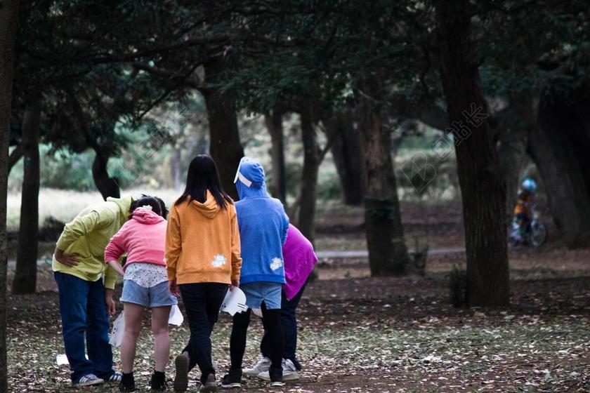 青少年 公园 年轻 夏天 播放 浅 绿色 一起 自然 日本