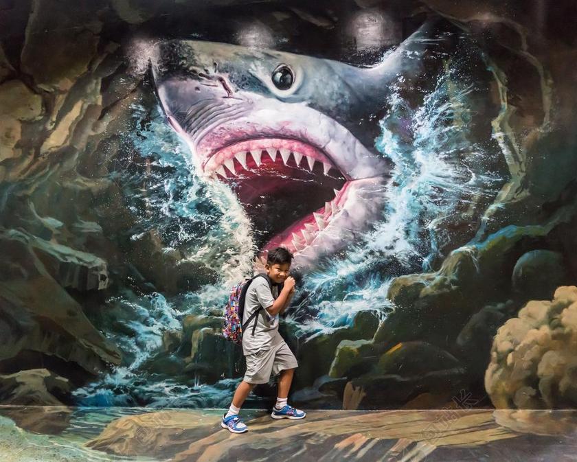 艺术天堂 泰国 清迈 人 男孩 画 鲨鱼 迹象 旅游 结构