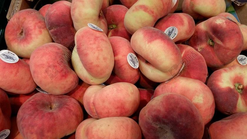 扁桃 桃 中国 西班牙 杏 温室玫瑰 树 鲜花 白 科