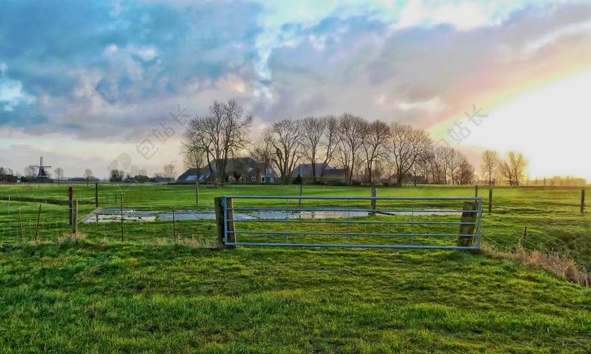 旅游自然荷兰农场背景图片