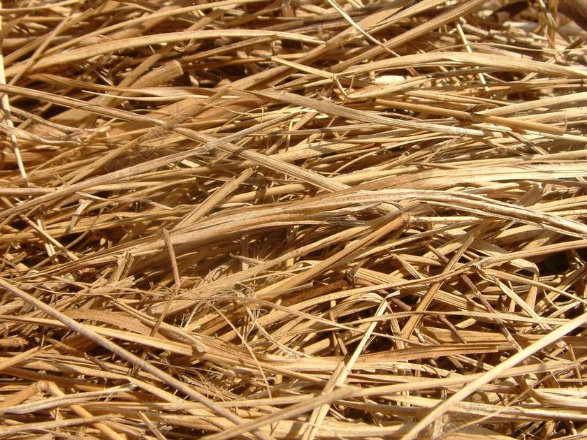 干草 棕色 农场 农村 牧场