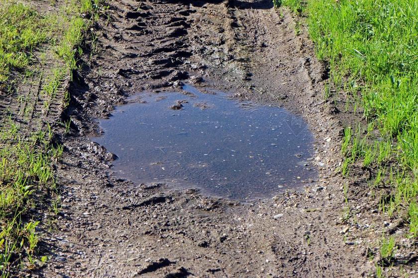 泥 池 水坑 离 性质 下着雨 水 水洼 小区