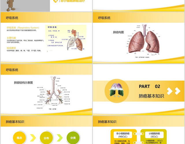 黄色医疗相关肺癌的基本知识与常用筛查方法PPT模板