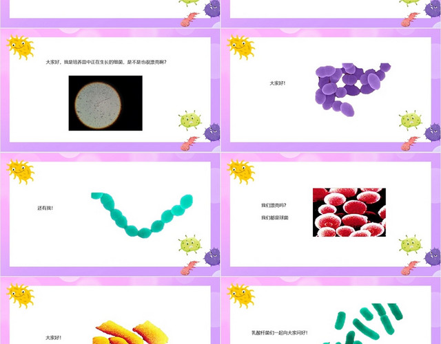 紫色卡通细菌教学课件知识讲解细菌PPT模板