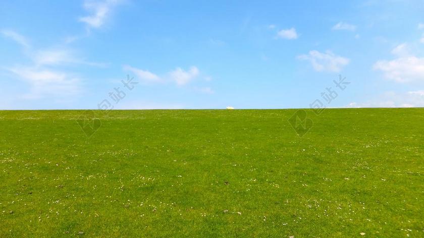 草地 天空 羊 草 农村 夏季 休息 绿色 云 性质