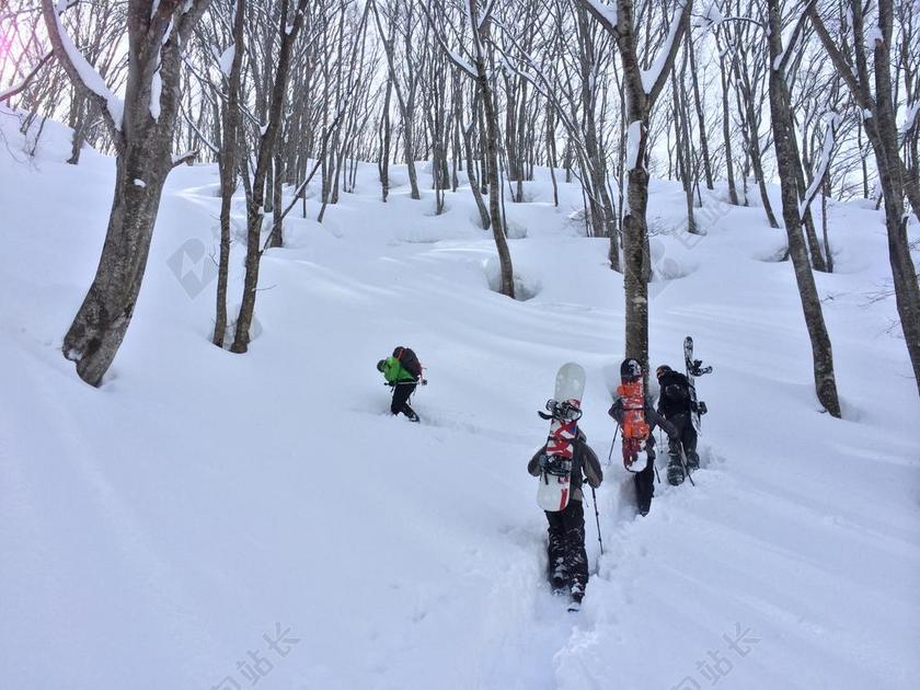 雪 日本 野生 旅行 自然 户外 北海道 山 风景
