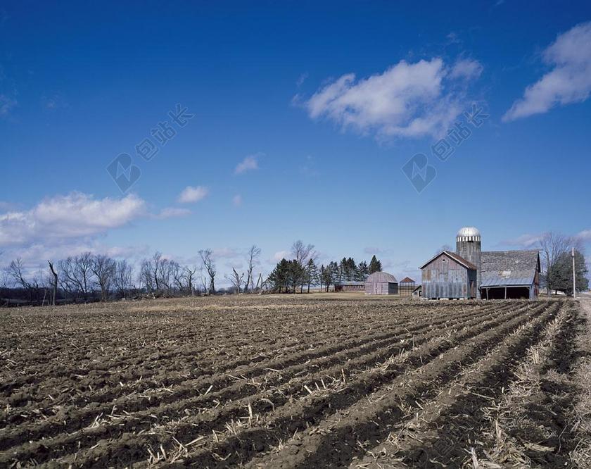 农场 种植 农业 行 耕种 食品 原野 农村 土壤