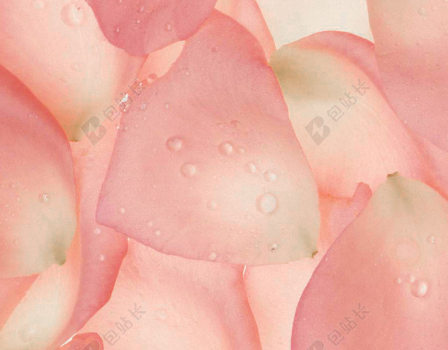 粉红色花朵花瓣平铺H5背景