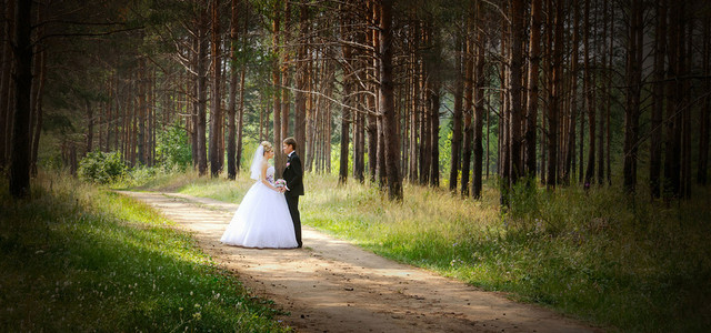 森系婚礼背景图
