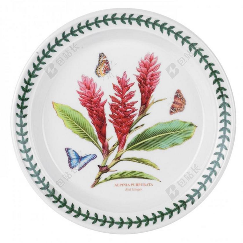 板 中国 瓷器 餐具 CHLORISTABLE