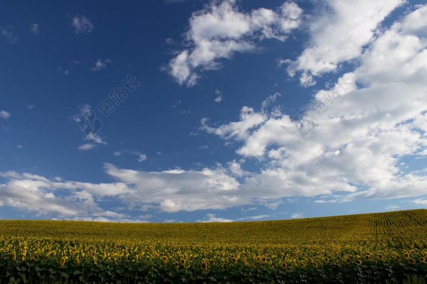 自然农田景色背景图片
