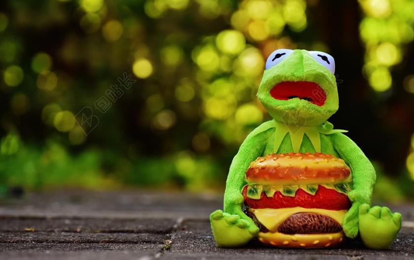 柯 青蛙 乳酪汉堡 汉堡 滑稽 动物 毛绒动物 毛绒玩具