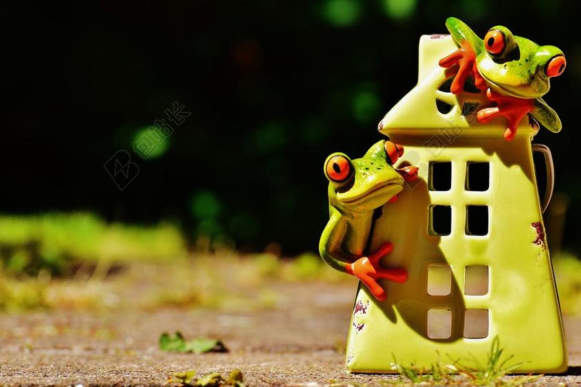 青蛙 首页 滑稽 可爱 甜 装饰 数字 在家 乐趣 快乐