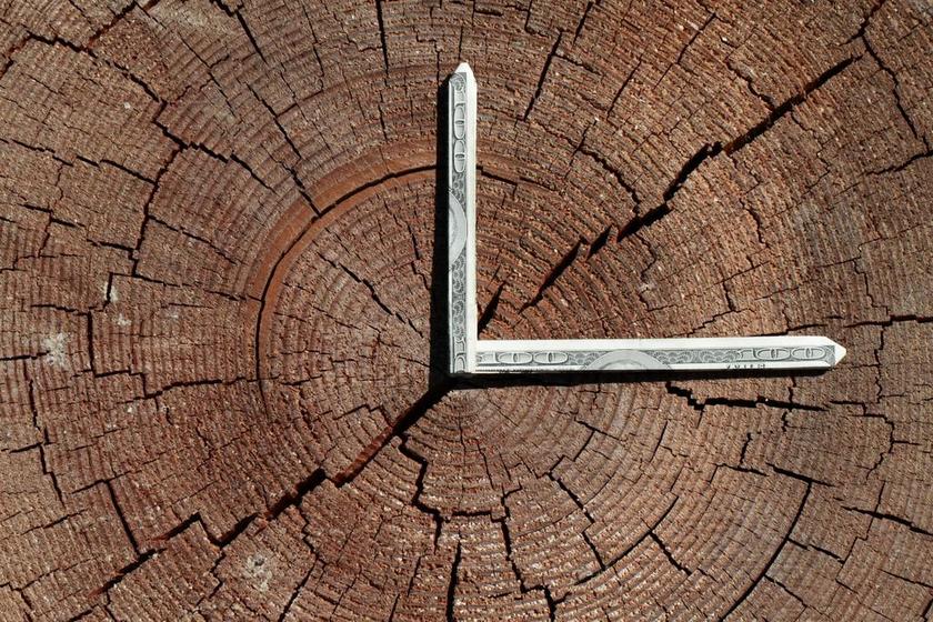 时间就是金钱 树的年轮 树 钱 条例草案 自然 树墩