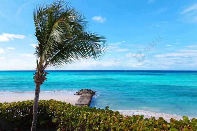 蓝色休闲旅游热带清爽晴朗背景图片
