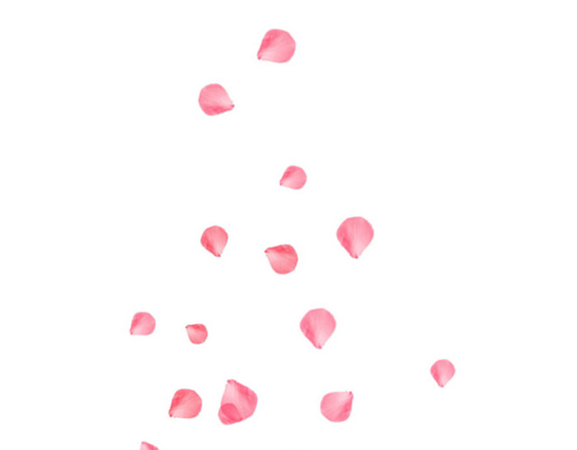 粉色桃花花瓣