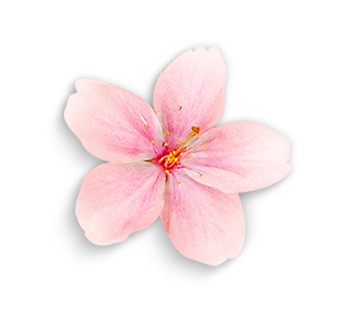 粉色桃花花瓣元素