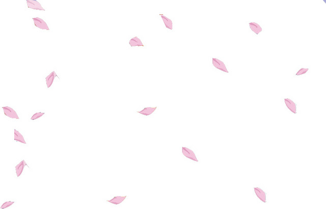 粉色浪漫樱花花瓣素材