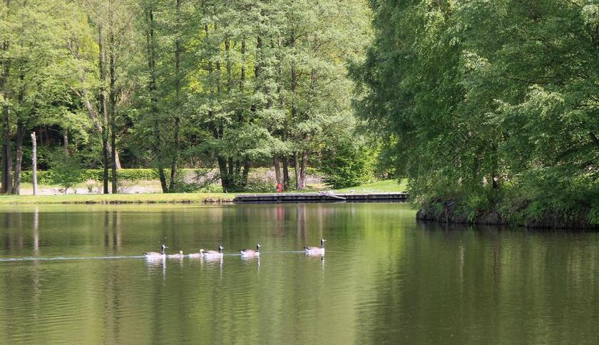 湖 性质 景观 休息 自然 水 沉默 心情 镜像 公园