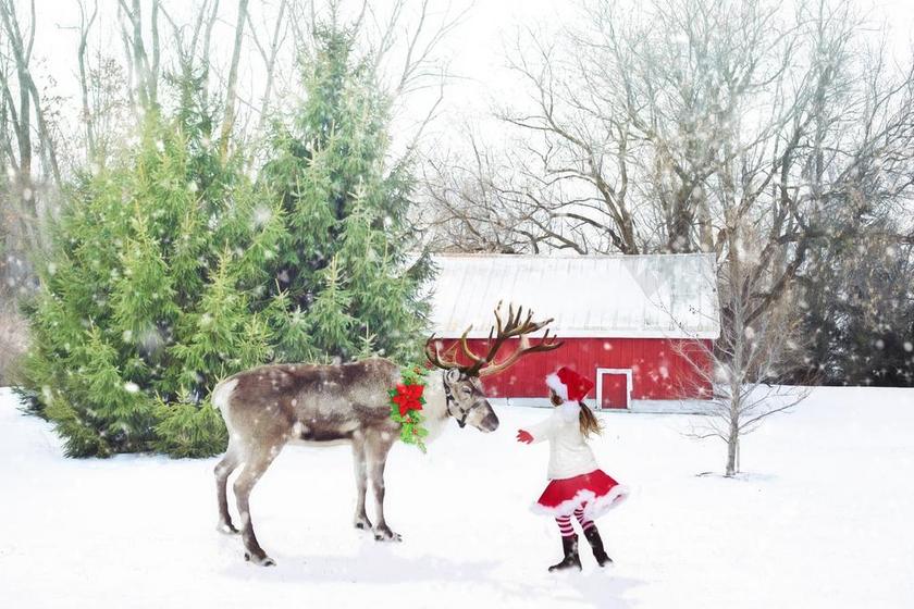 圣诞场景 驯鹿 小女孩 女孩圣诞老人 雪 圣诞节
