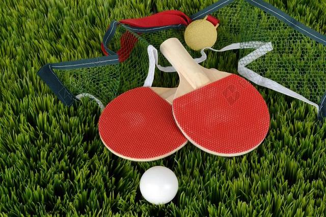 物品草地上的乒乓球和金色奖牌背景图片