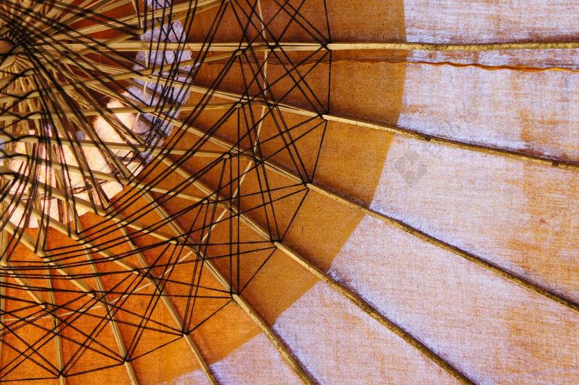 屏幕 阳伞 从底部 树荫下树 亚洲伞 亚洲 油纸伞