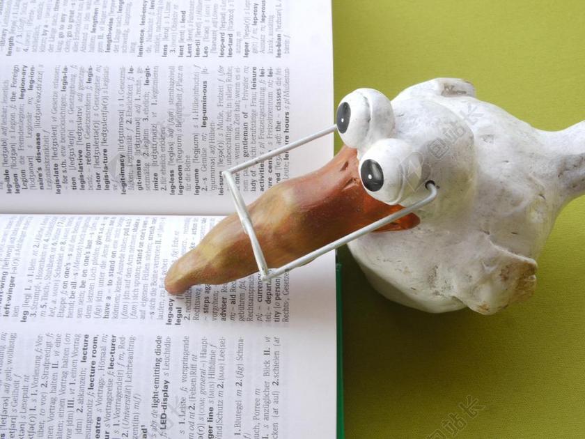 学校 本书 知道 读取 学习 教育 研究 浏览 字体 读