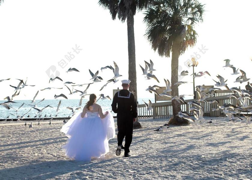 夫妇婚礼海滩鸟欧背景图片