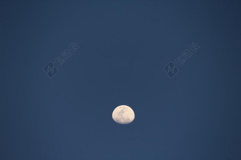 月亮 夜 黑暗 蓝色 天空 万圣节 光 黑 树 满月