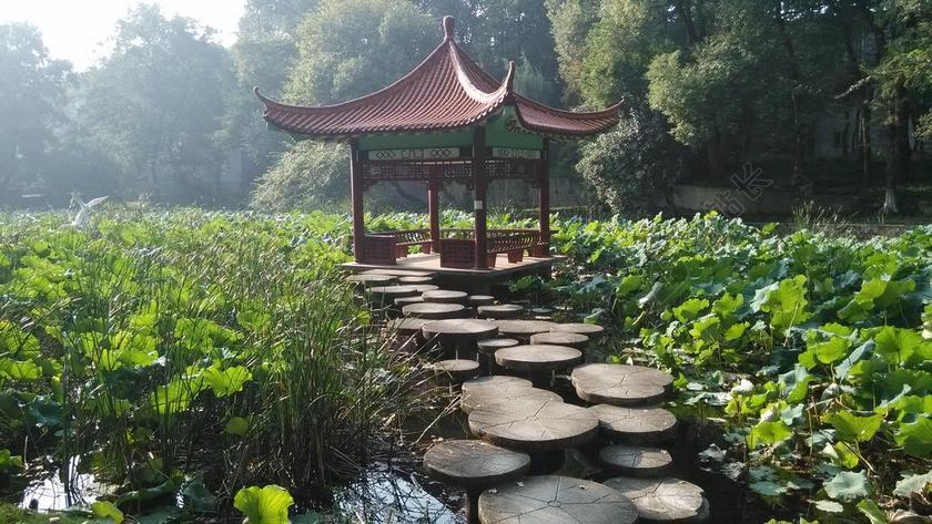 亭台 风景 校园