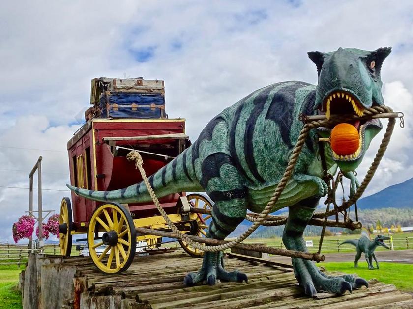 恐龙 乐趣 舞台教练 南瓜 显示 播放 玩耍 想象力