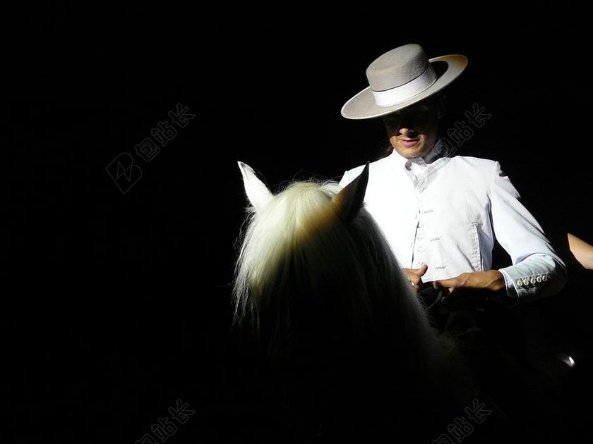 马 骑手 骑马的