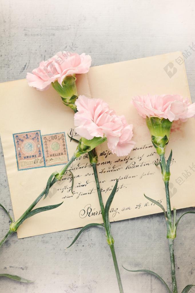 信件 信封 老 古董 文章 标记为 纸 丁香 鲜花 三