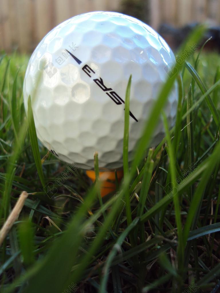 高尔夫球 播放 高尔夫 高峰 白球 体育 绿色