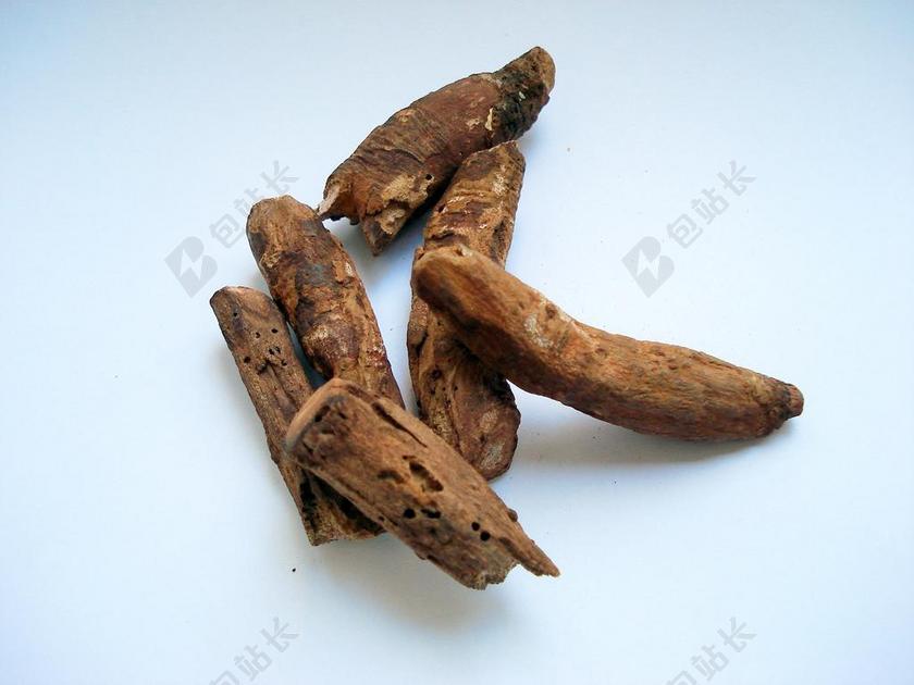 大黄 RIZOMU RAVEND 大黄