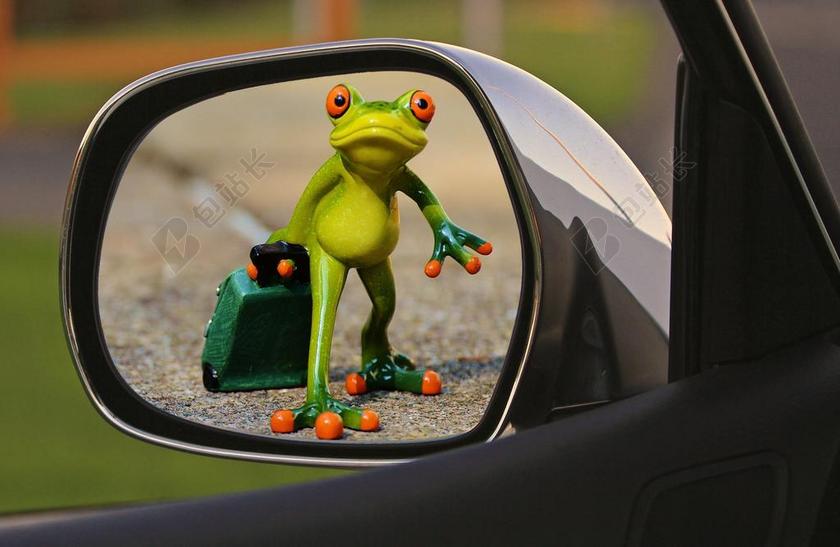 时间去 青蛙 告别 悲伤 行李 小车 滑稽 可爱 后视镜