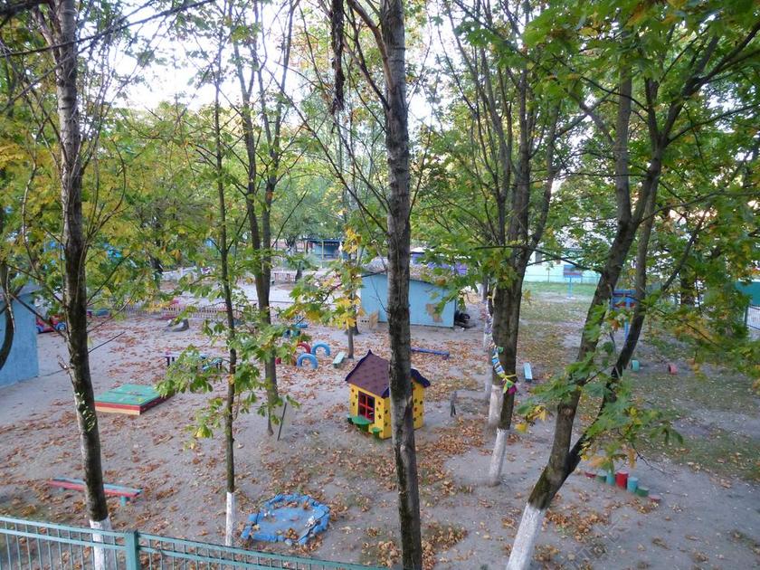 设施现代树林公园游乐设施等现代设施背景图片